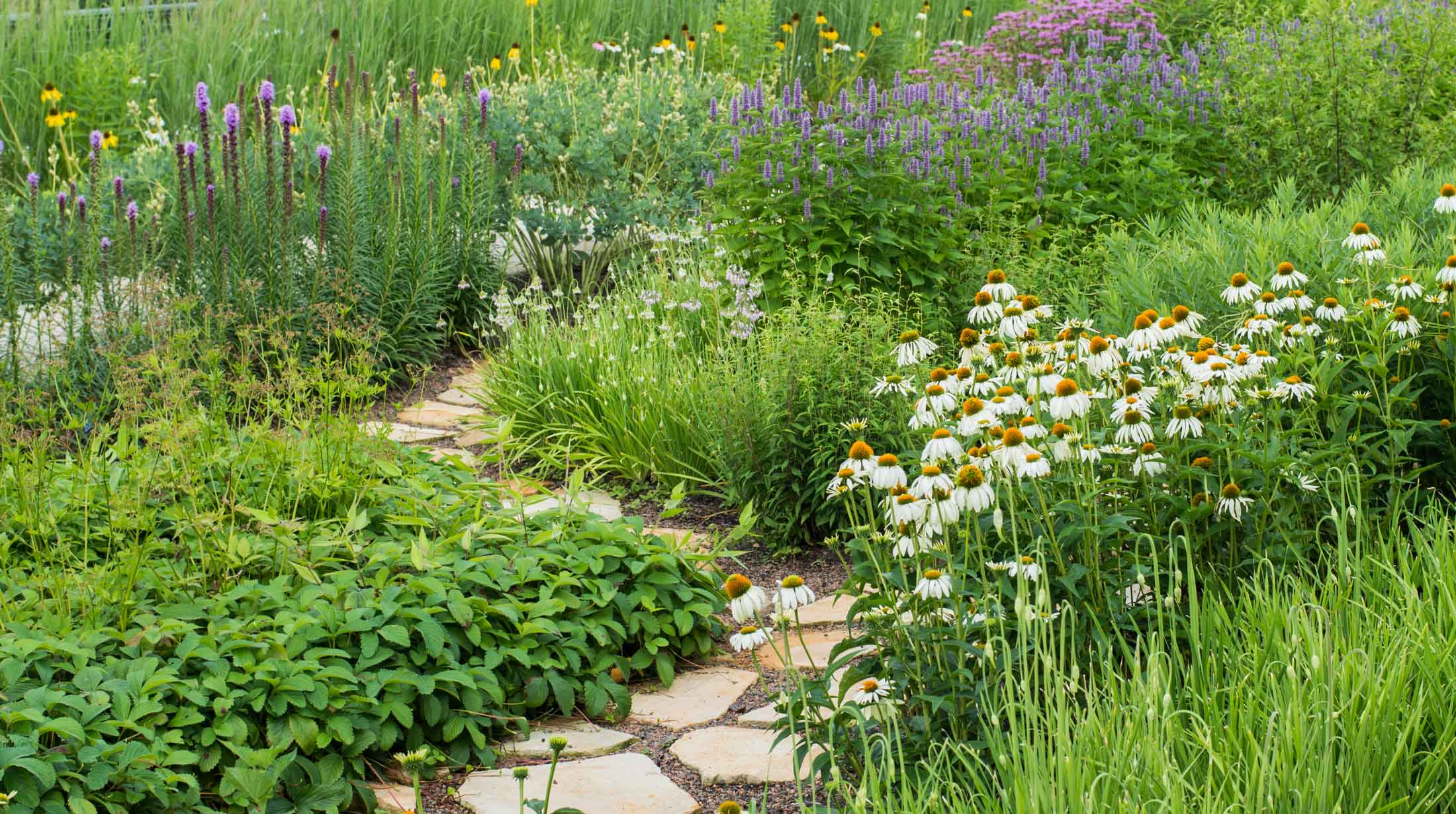 phipps safe lawn and landscaping phipps conservatory and botanical gardens phipps safe lawn and landscaping phipps conservatory and botanical gardens