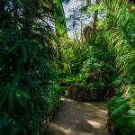 This Week at Phipps: Oct. 20 – 26 This Week at Phipps: Oct. 20 – 26