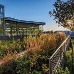 This Week at Phipps: Oct. 6 – 12 This Week at Phipps: Oct. 6 – 12