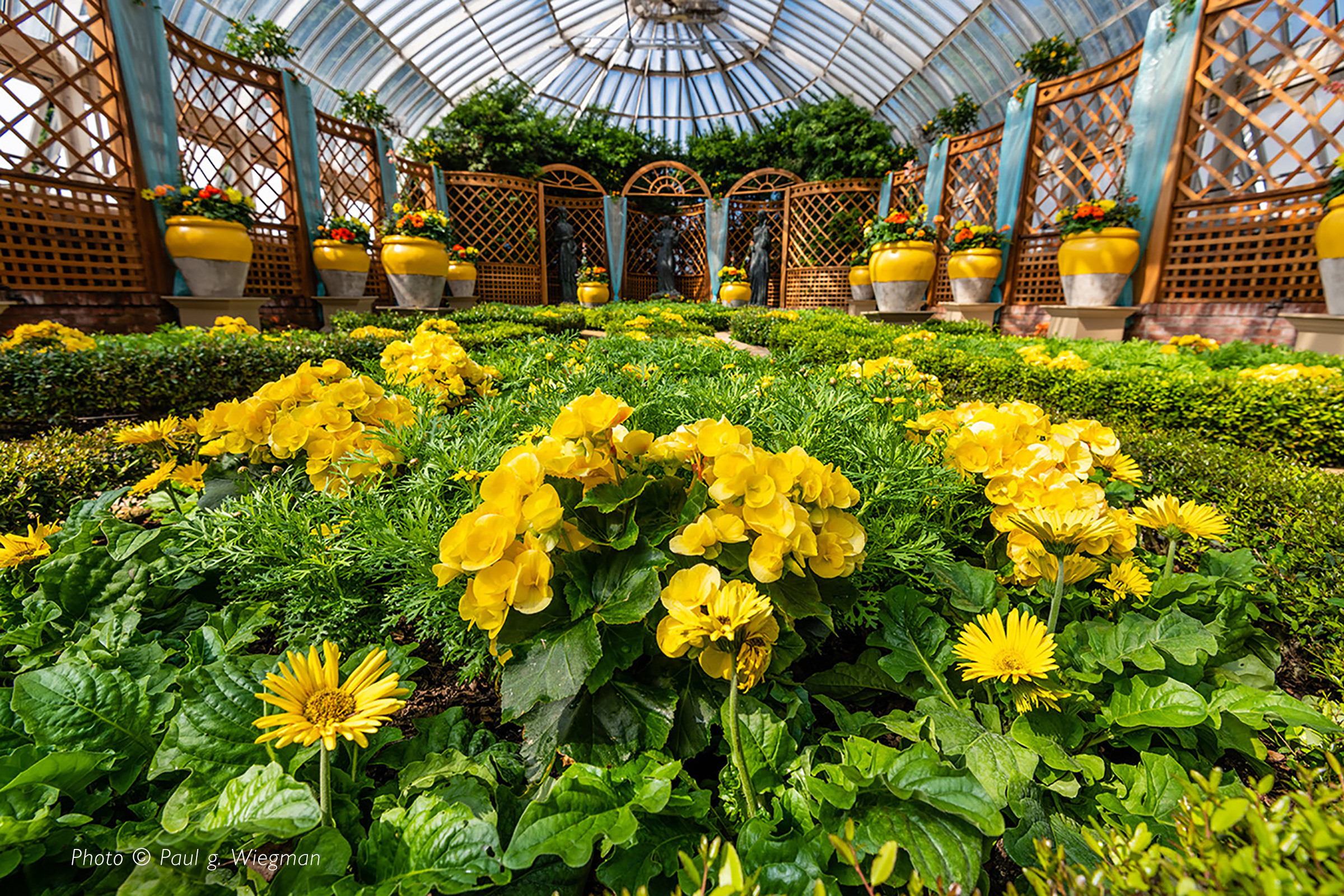 Photo Gallery | Phipps Conservatory And Botanical Gardens | Pittsburgh PA