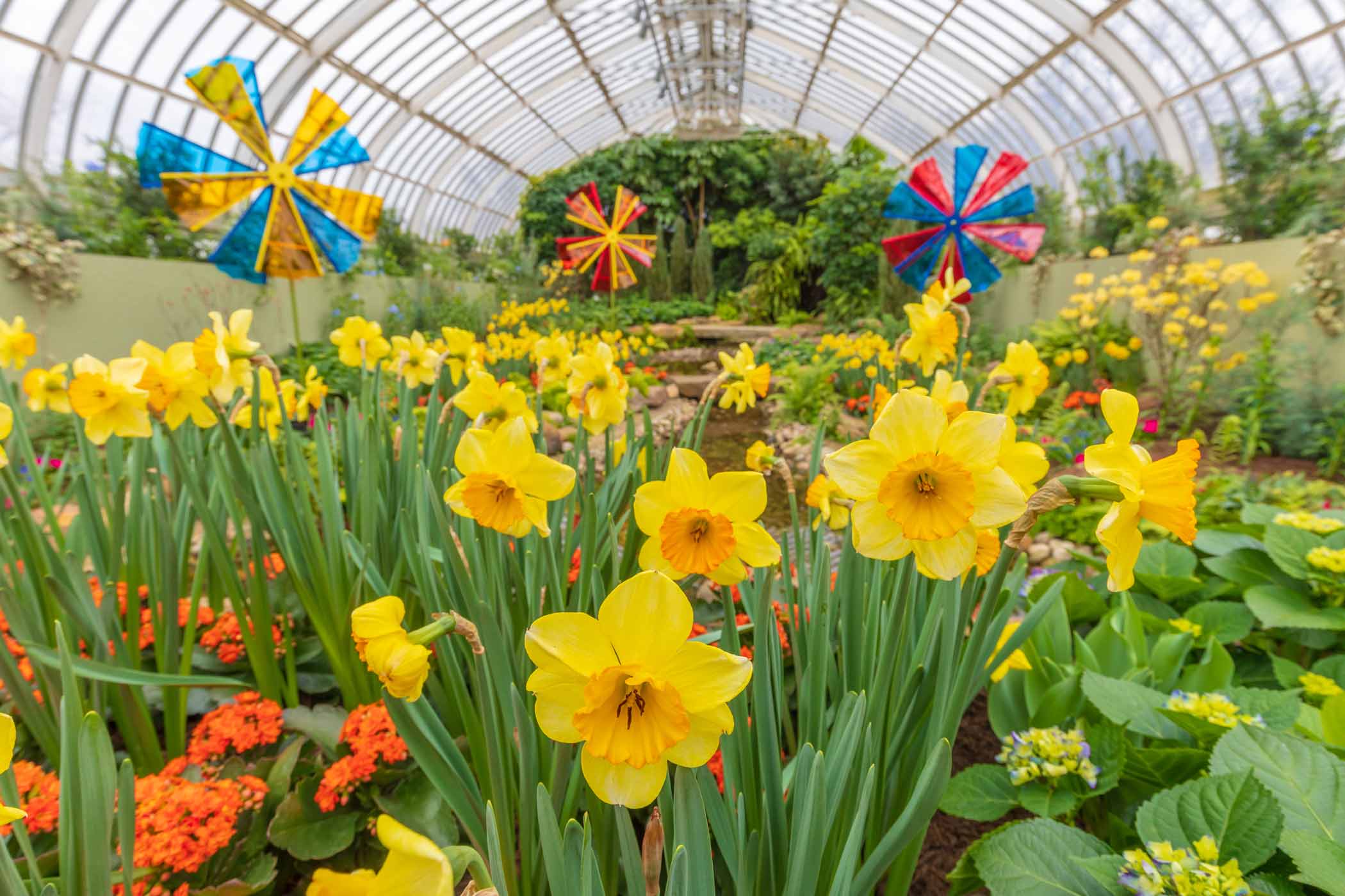 Spring Flower Show Gardens of the Rainbow Phipps Conservatory and