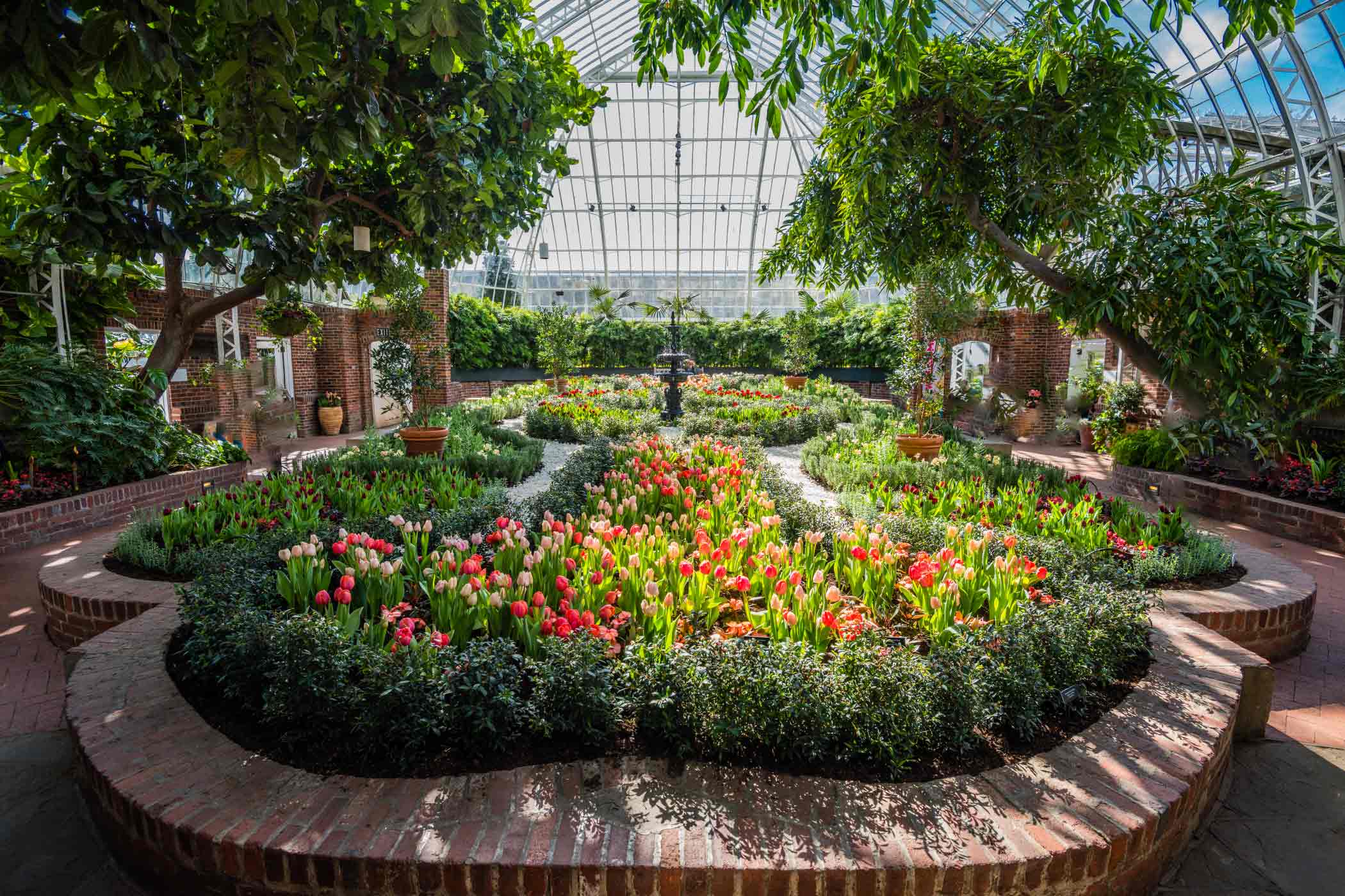 Spring Flower Show Scents of Wonder Phipps Conservatory and
