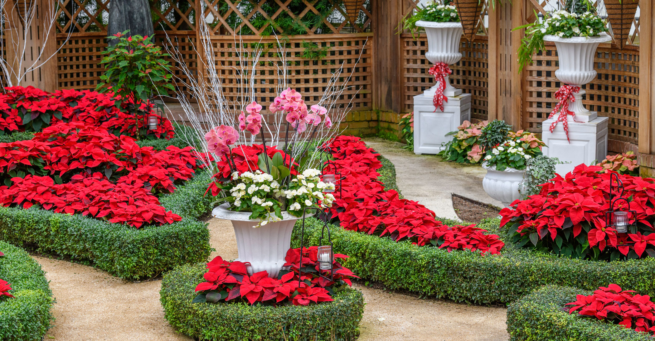 Holiday Magic! Winter Flower Show and Light Garden | Phipps ...