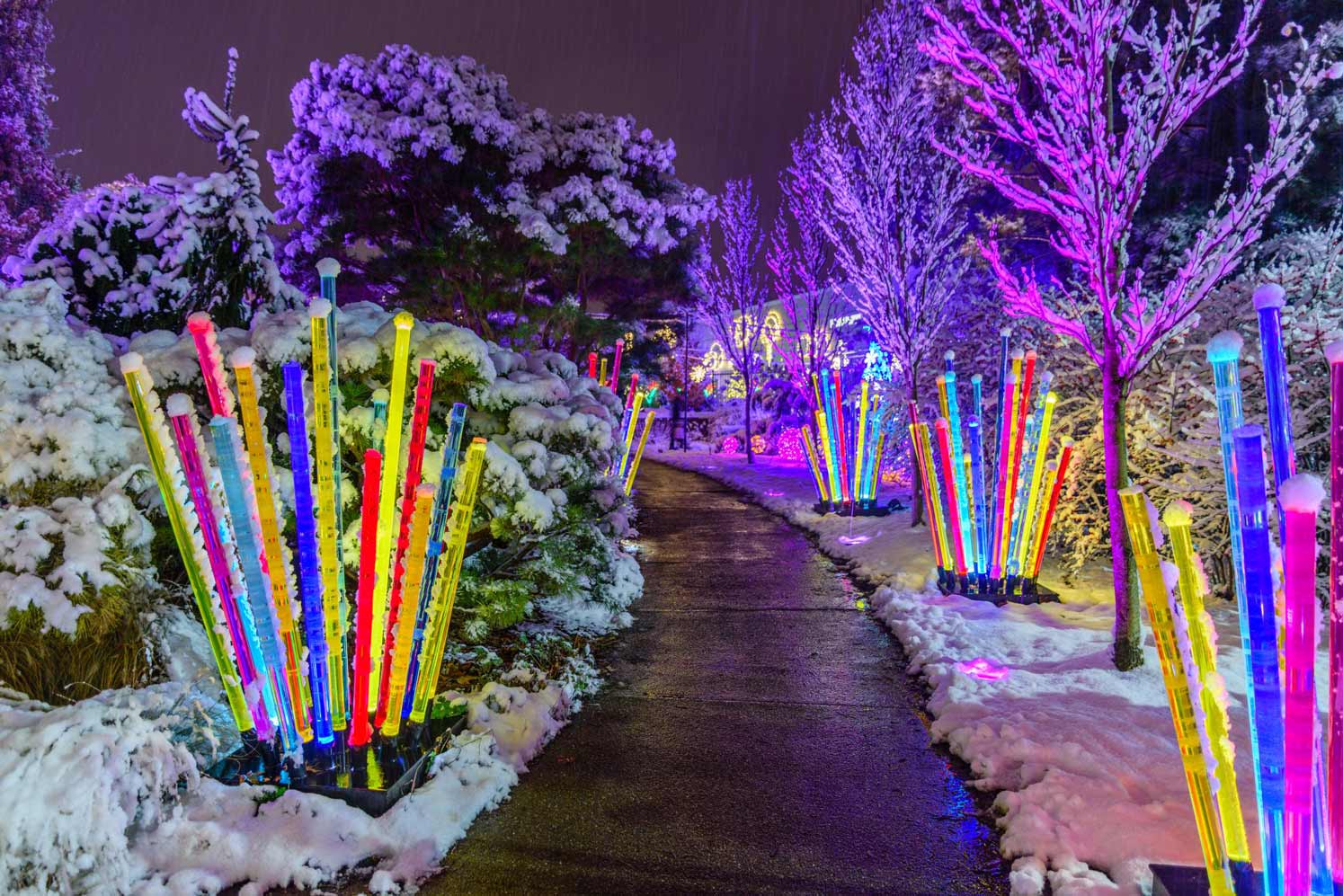 Holiday Magic: Let It Glow! | Phipps Conservatory and ...