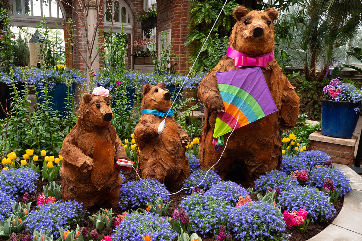 Spring Flower Show: Canopy of Color