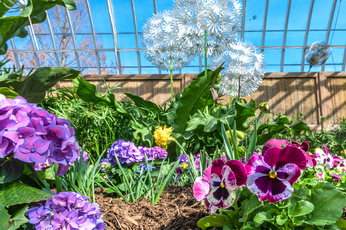 Spring Flower Show: Canopy of Color