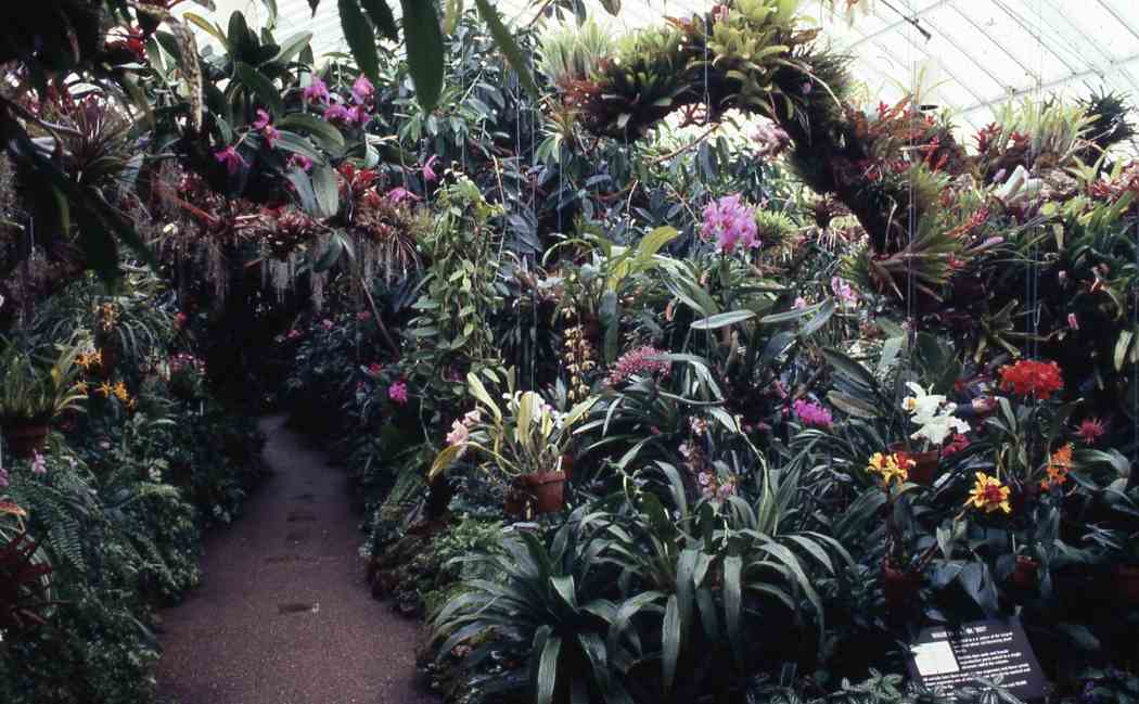 Fall Flower Show 1988: In Celebration of America