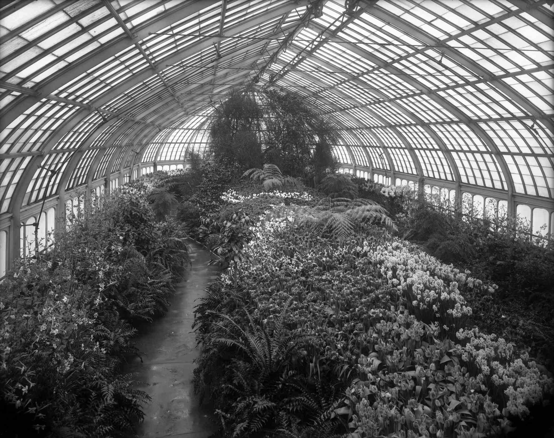 Spring Flower Show 1911 | Phipps Conservatory and Botanical Gardens ...