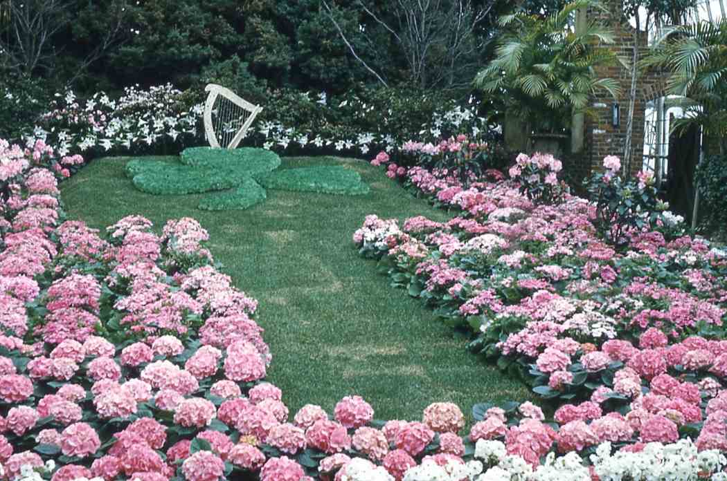 Spring Flower Show 1961