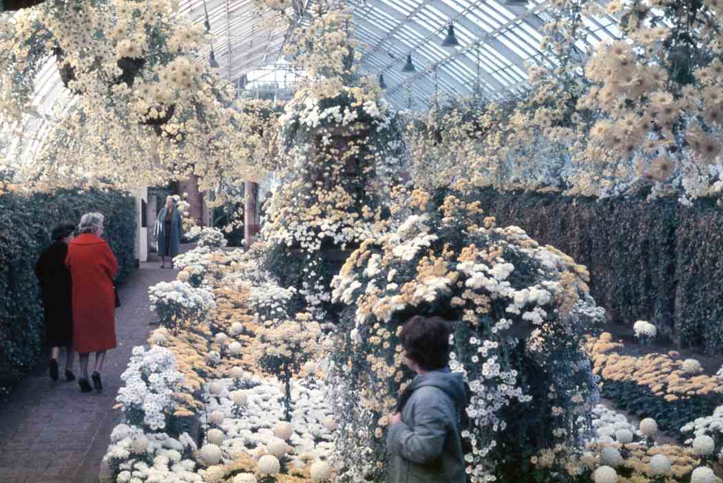Fall Flower Show 1962