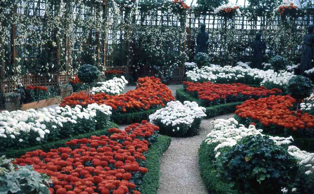 Winter Flower Show 1966