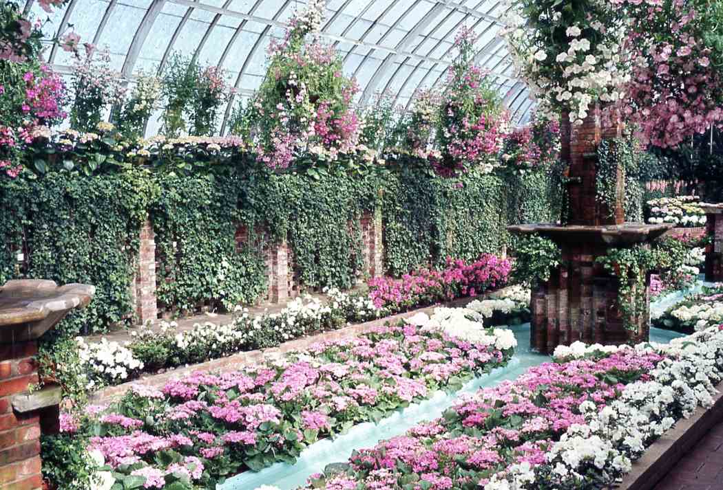 Spring Flower Show 1967
