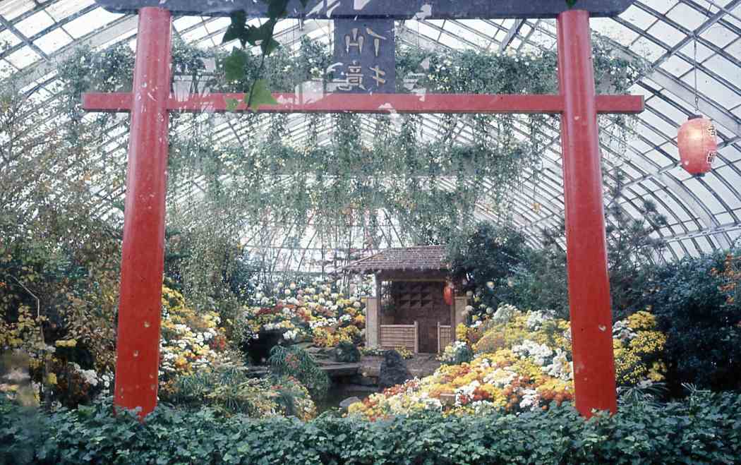 Fall Flower Show 1968