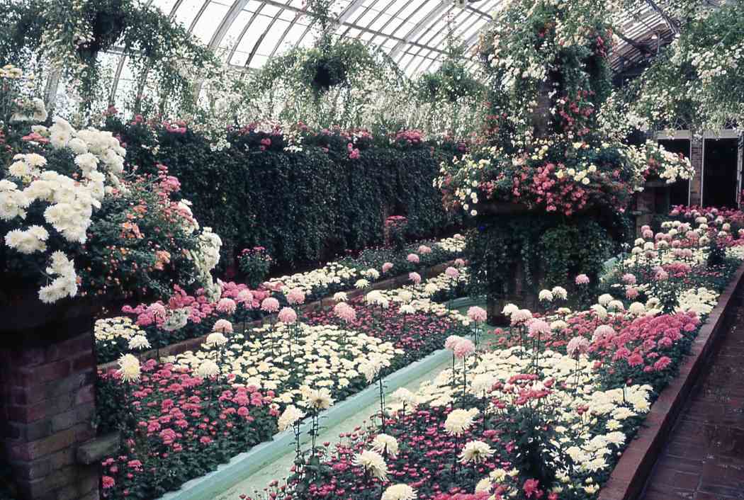 Fall Flower Show 1968