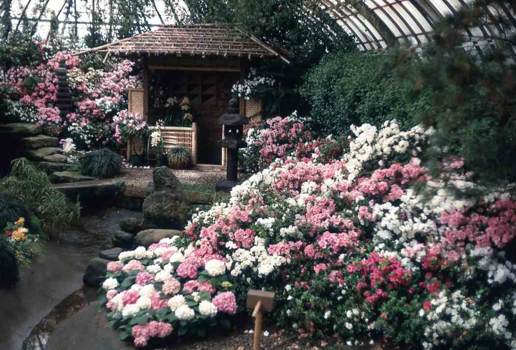 Spring Flower Show 1971