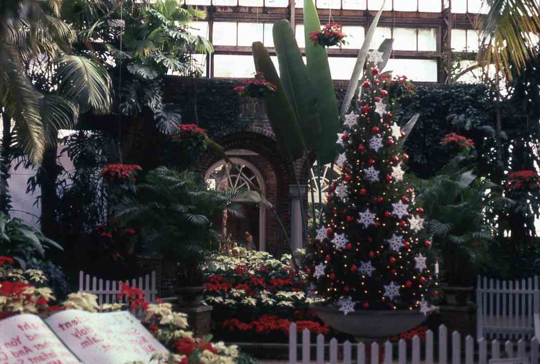 Winter Flower Show 1975: Country Christmas