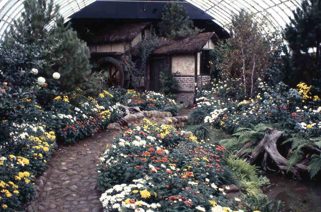 Fall Flower Show 1979: Greatest Show Under the Big Glass Top