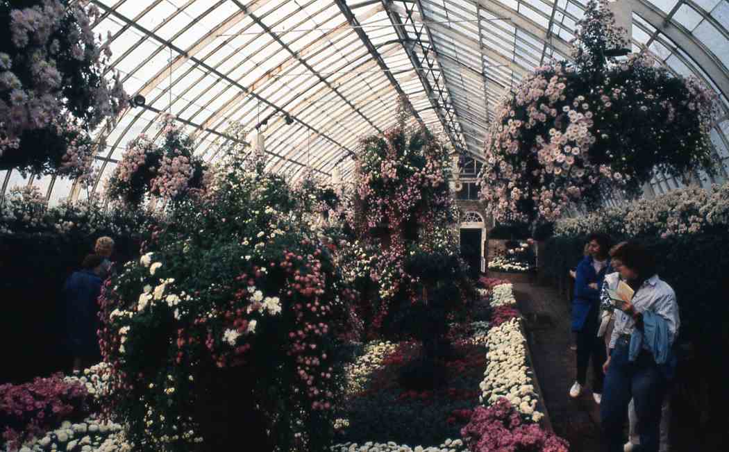 Fall Flower Show 1987: Kings, Queens and Chrysanthemums