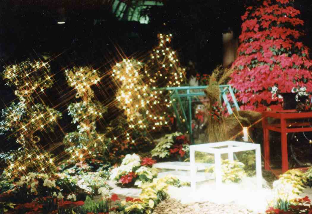 Winter Flower Show 1990: Presents Under Glass