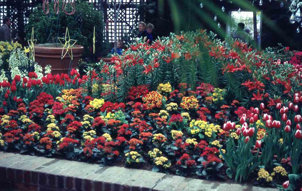 Spring Flower Show 1991: Flowers and Showers