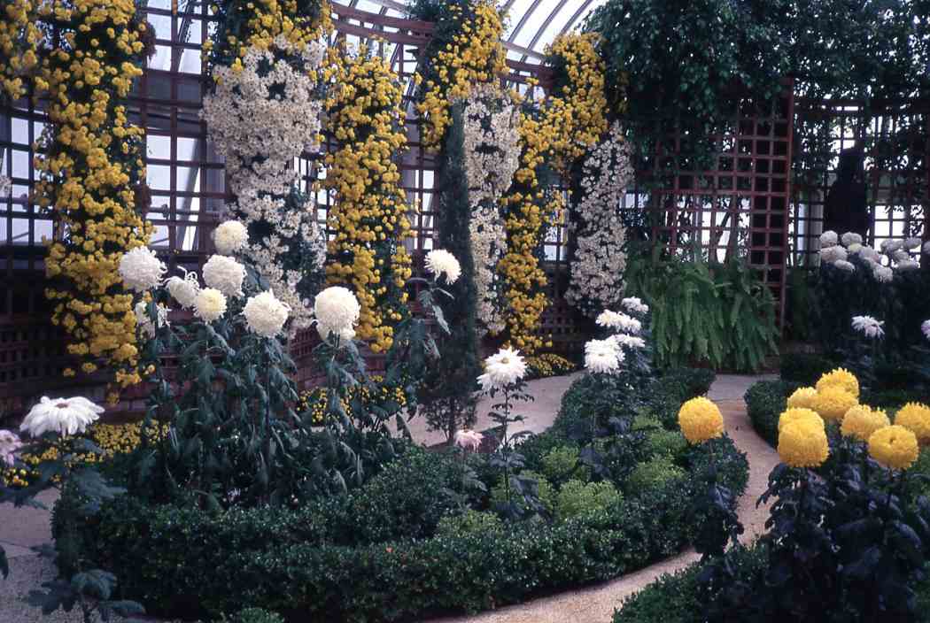 Fall Flower Show 1998: On the Way to Ahhhhs