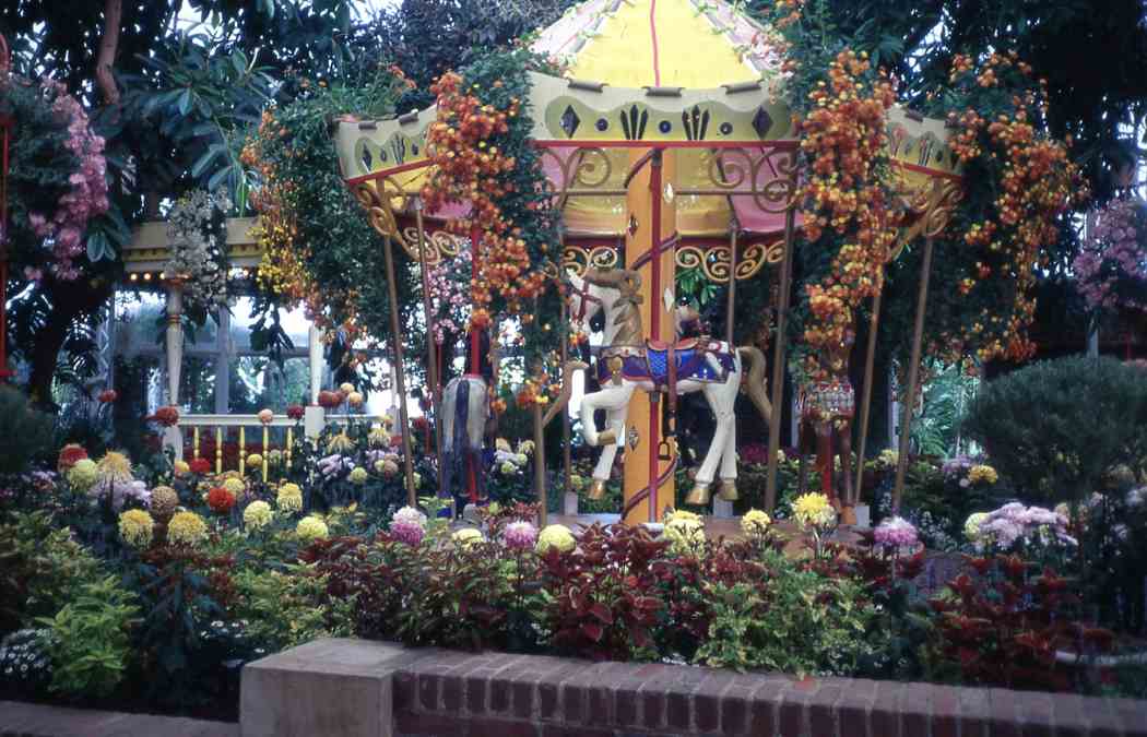 Fall Flower Show 1997: A Carnival of Color