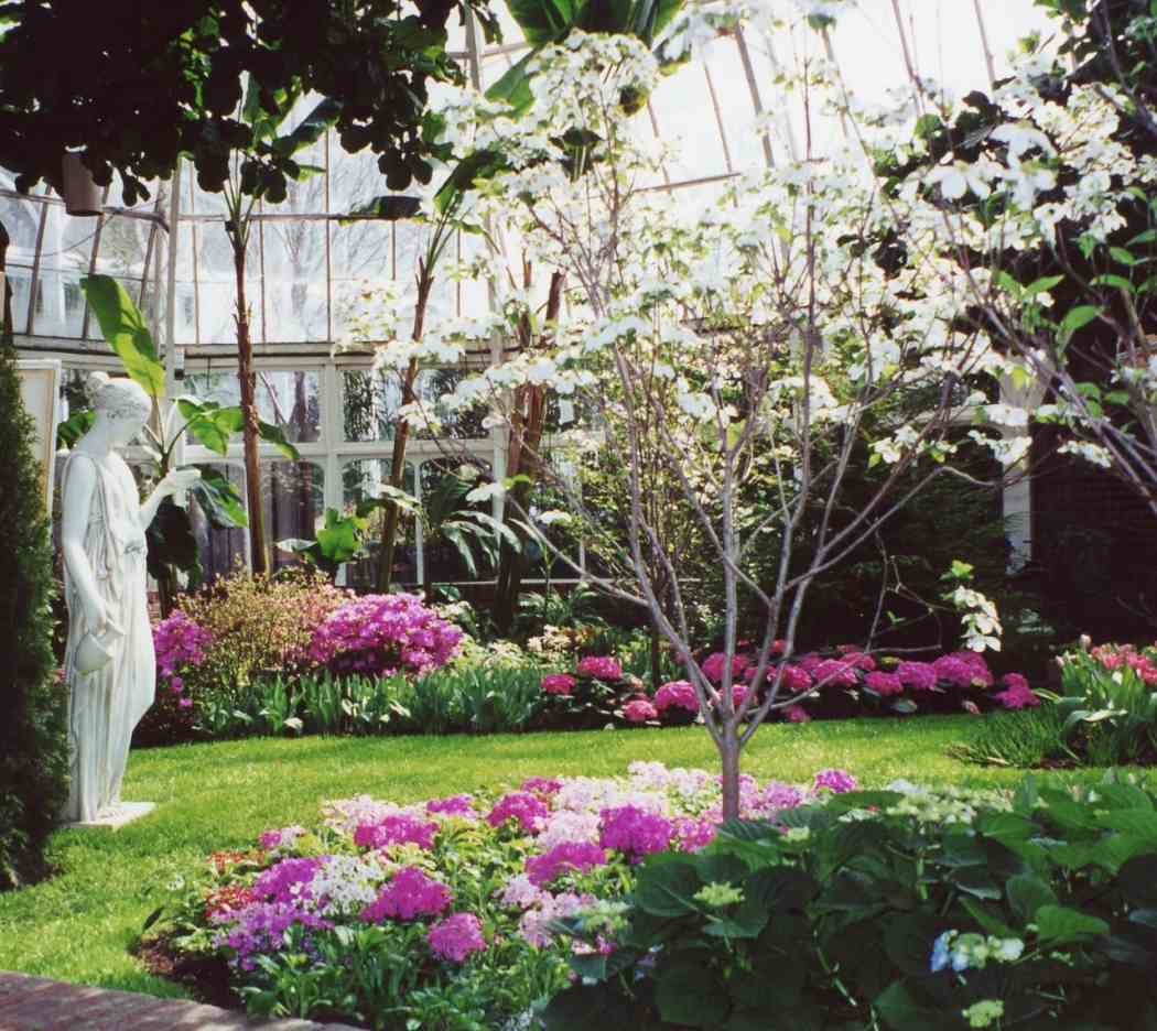 Spring Flower Show 2001: Impressions