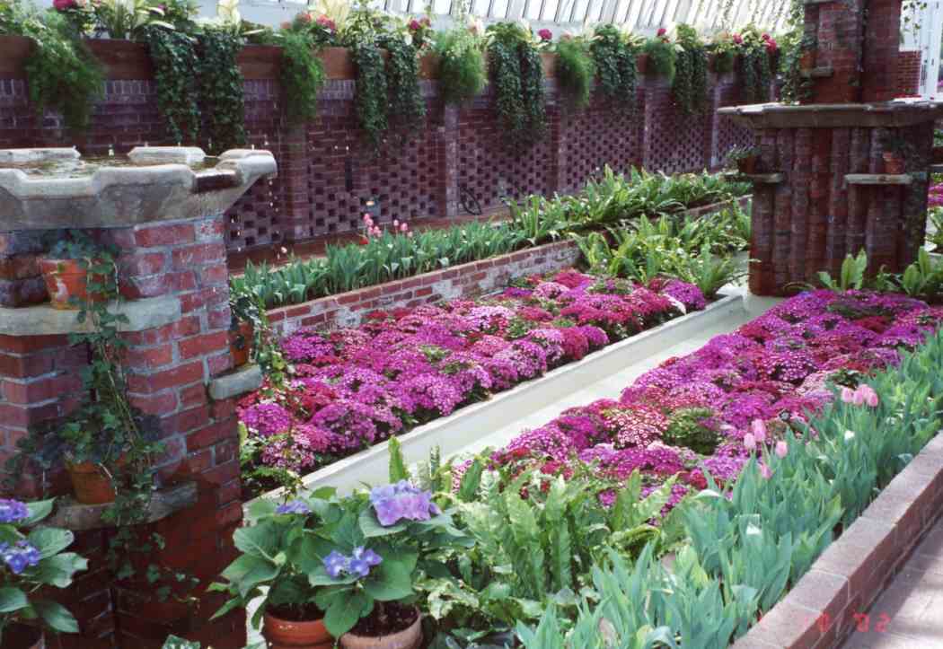 Spring Flower Show 2002: The Colors of Sunlight