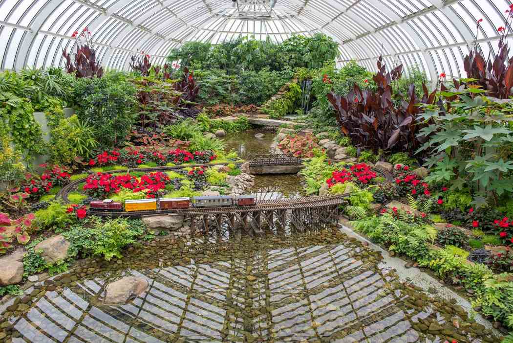 bioPGH: Forget-me-nots, Phipps Conservatory and Botanical Gardens