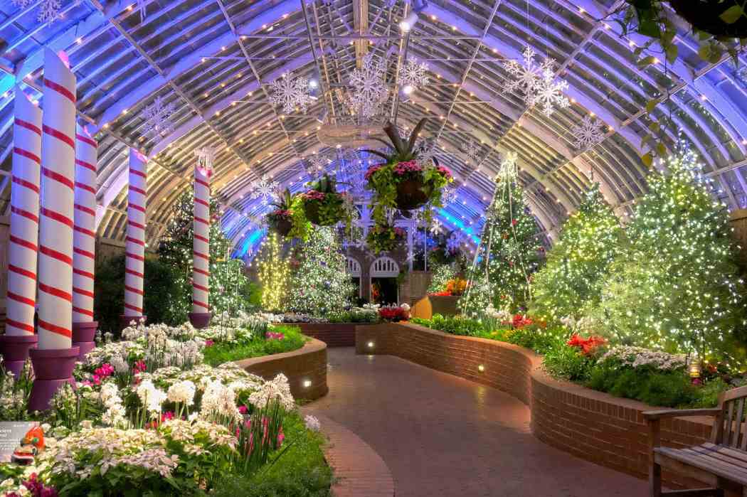 Winter Flower Show and Light Garden 2015: Deck the Halls