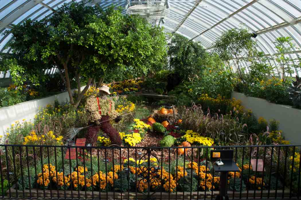 Fall Flower Show 2004: Colors of the Harvest
