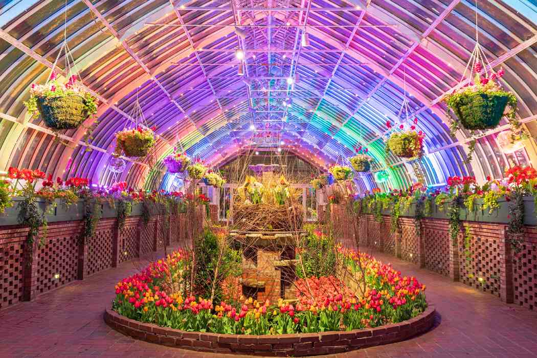 Spring Flower Show 2019 Gardens of the Rainbow Phipps Conservatory