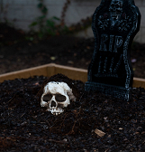 Halloween Happenings Halloween Happenings