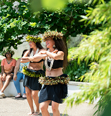 Tropical Forest Hawai‘i Festival