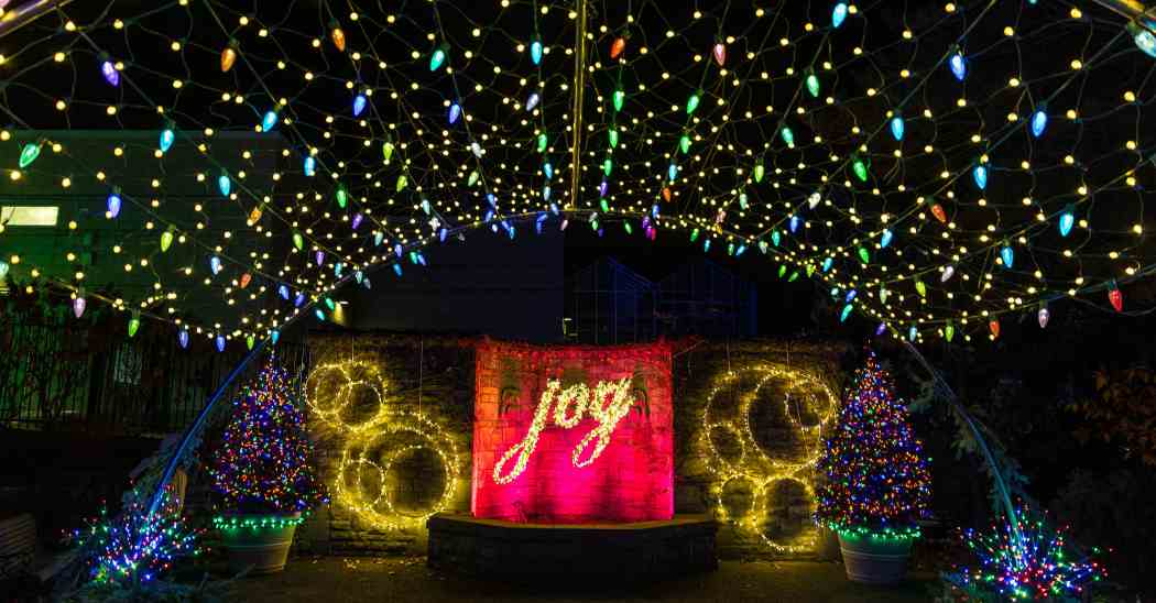 Winter Flower Show 2024: Phipps Holiday Magic