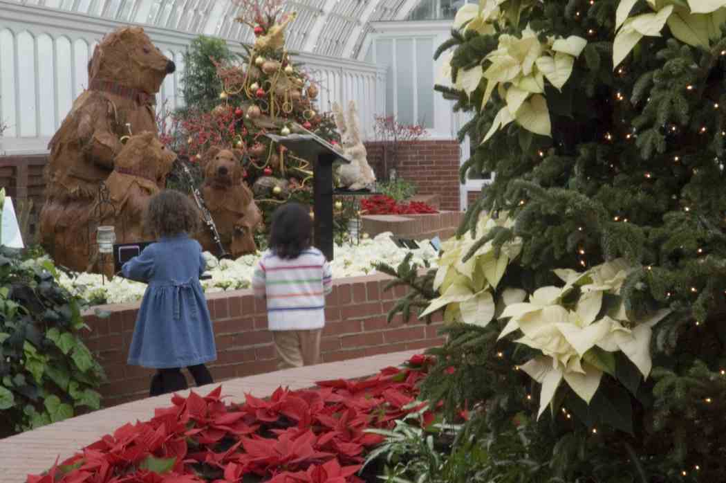 Winter Flower Show 2005: One Enchanted Evening
