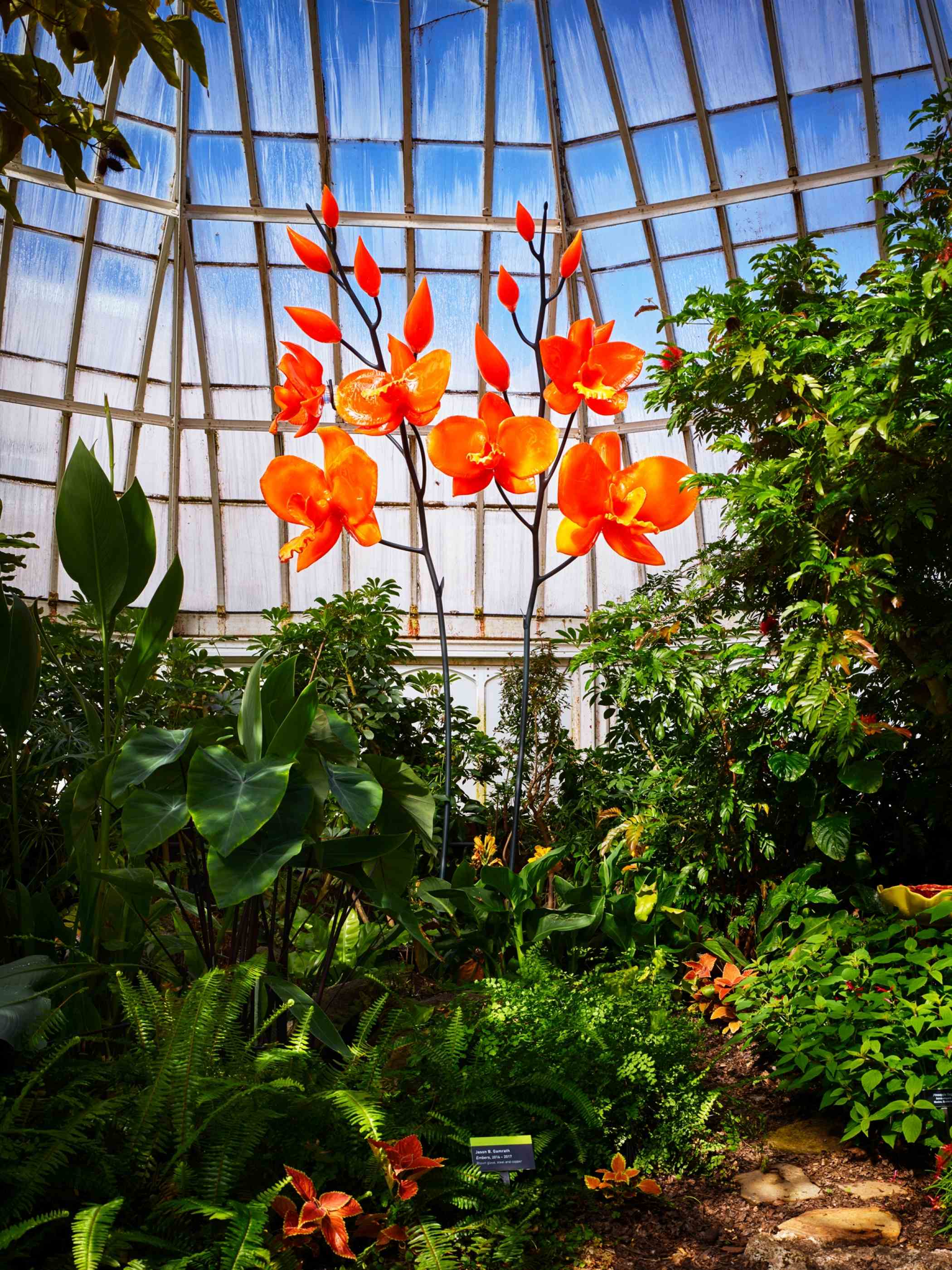 bioPGH Blog: Blue Jays the Tricksters!, Phipps Conservatory and Botanical  Gardens