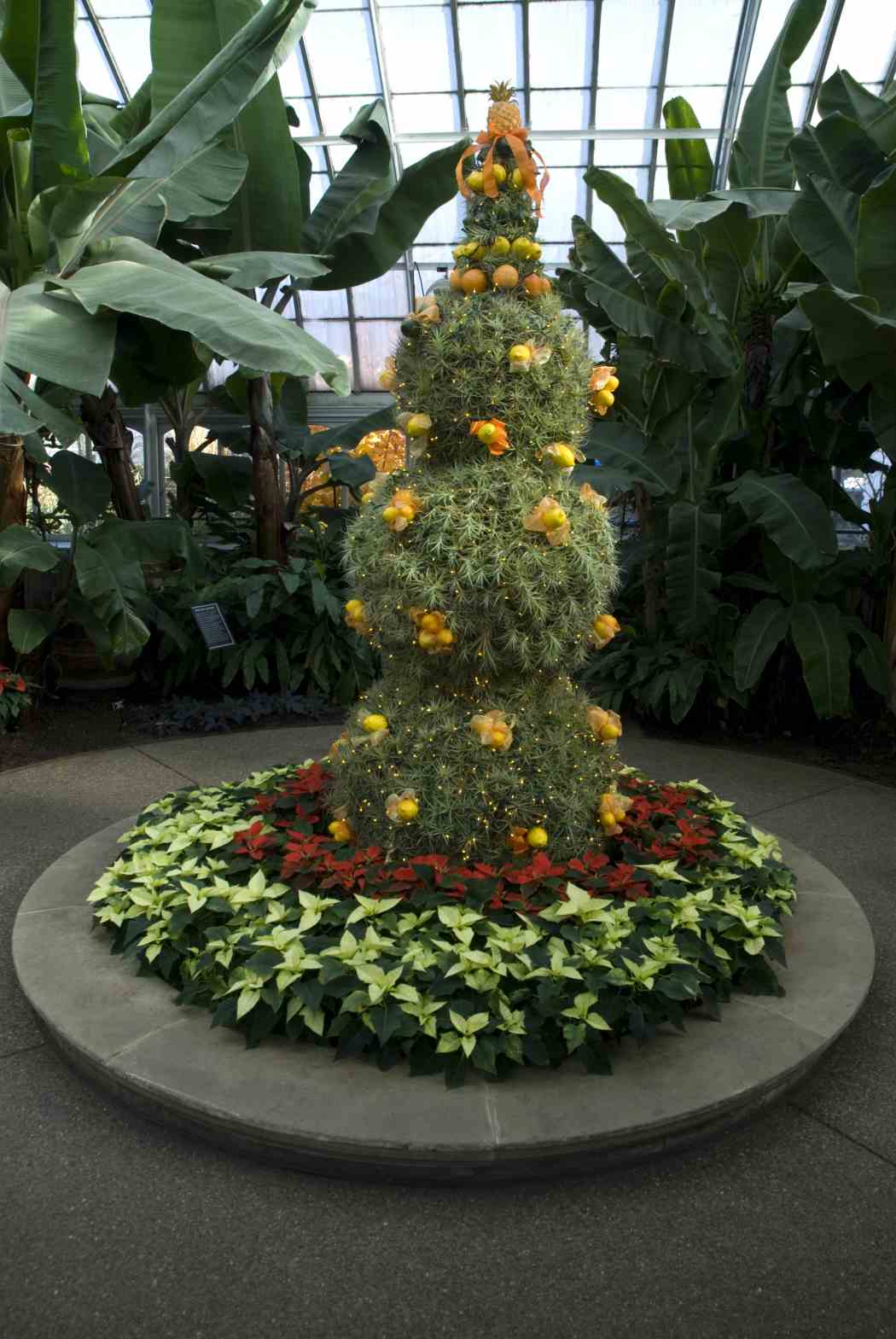 Winter Flower Show 2006: Shades of the Season
