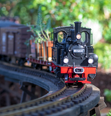 Garden Railroad: The Age of Dinosaurs Garden Railroad: The Age of Dinosaurs