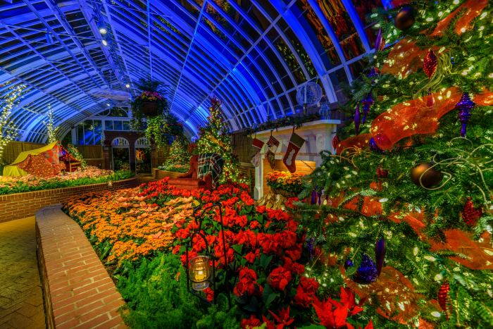 Winter Flower Show and Light Garden: Days of Snow and ...