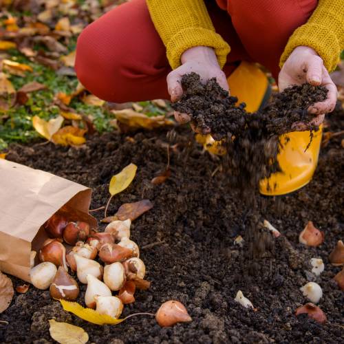 Greener Gardening: Make the Most of Fall Care