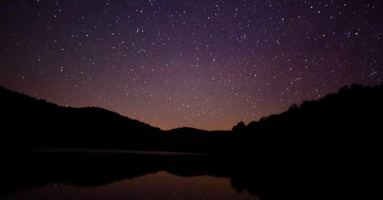 #bioPGH Blog: More Than Just The Night Sky