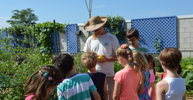 Summer Camp Recap: Urban Gardeners