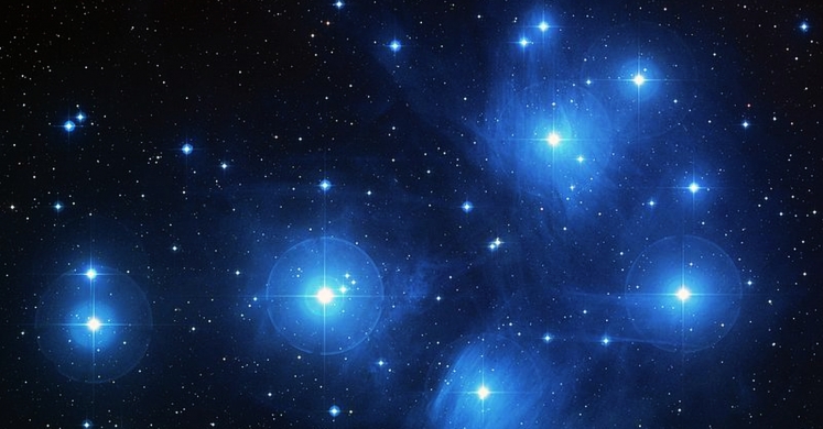 #bioPGH Blog: Winter Constellations