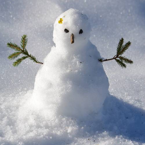 Do You Want to Build a Snowman? Ideas for Staying Active in Wintry Weather Do You Want to Build a Snowman? Ideas for Staying Active in Wintry Weather