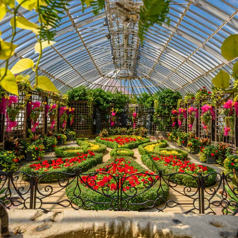 Blog | Phipps Conservatory and Botanical Gardens | Pittsburgh PA