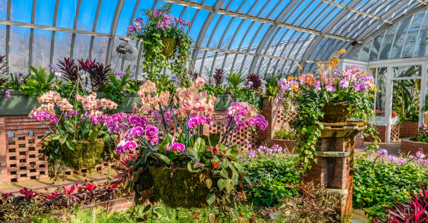 This Week at Phipps: Jan. 9 – 15