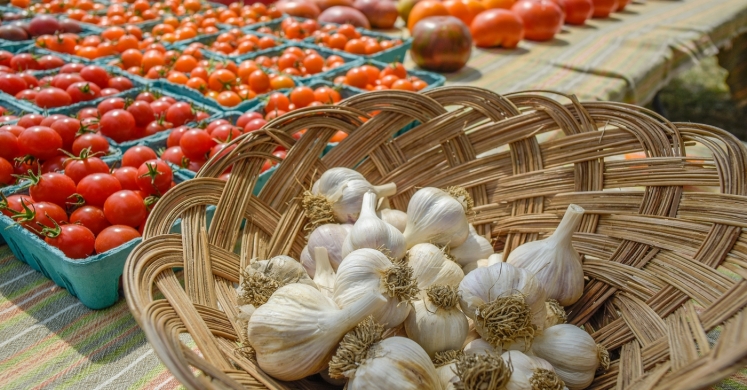 #bioPGH Blog: Tomatoes and Garlic