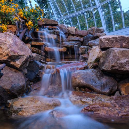 This Week at Phipps: Oct. 23 – 29