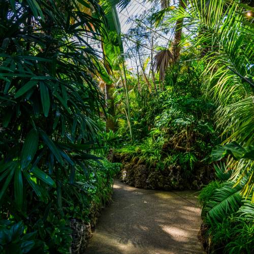 This Week at Phipps: Oct. 20 – 26 This Week at Phipps: Oct. 20 – 26